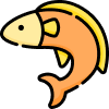 fish fish