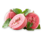 guava guava