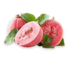 guava guava