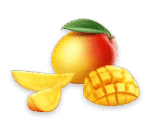 mango mango