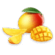 mango mango